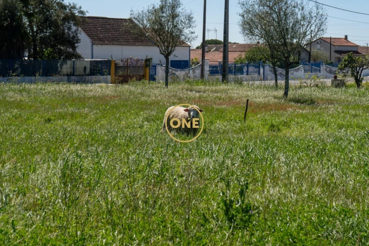 Terreno para Venda em Foros de Arrão Foto 15