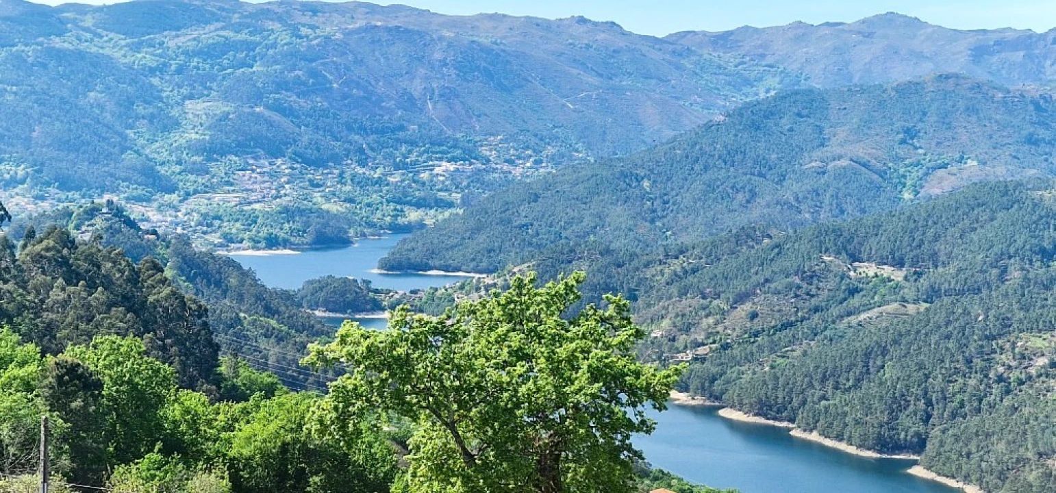 Terreno para Venda em Louredo Foto 11