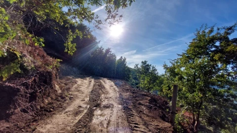 Terreno para Venda em Louredo