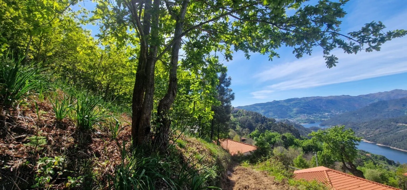 Terreno para Venda em Louredo Foto 1