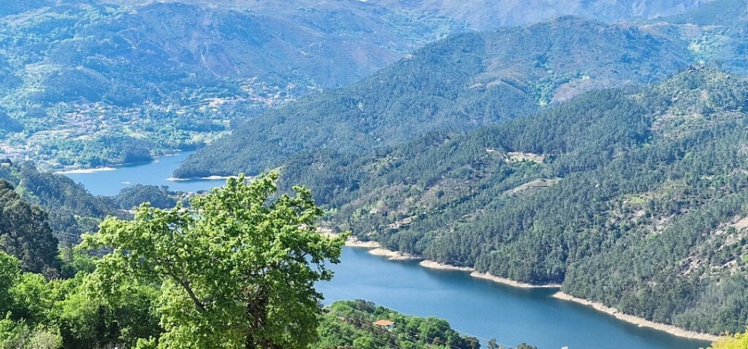 Terreno para Venda em Louredo Foto 16