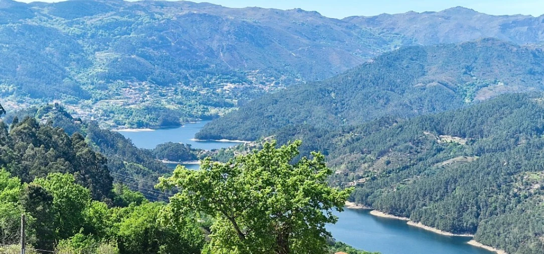 Terreno para Venda em Louredo Foto 11
