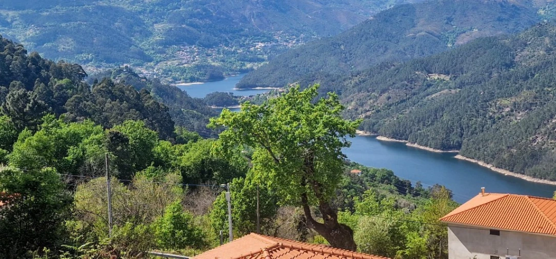 Terreno para Venda em Louredo Foto 2