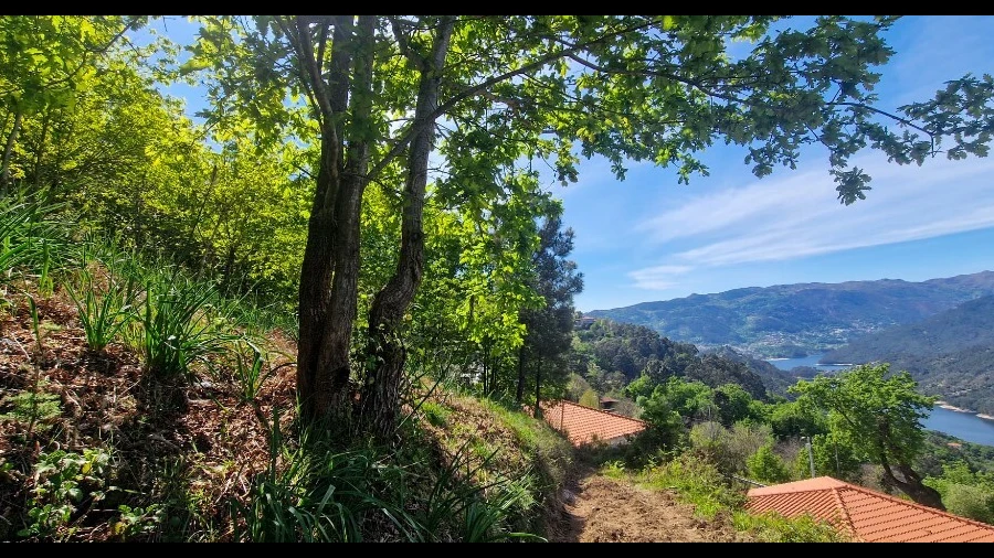 Terreno para Venda em Louredo