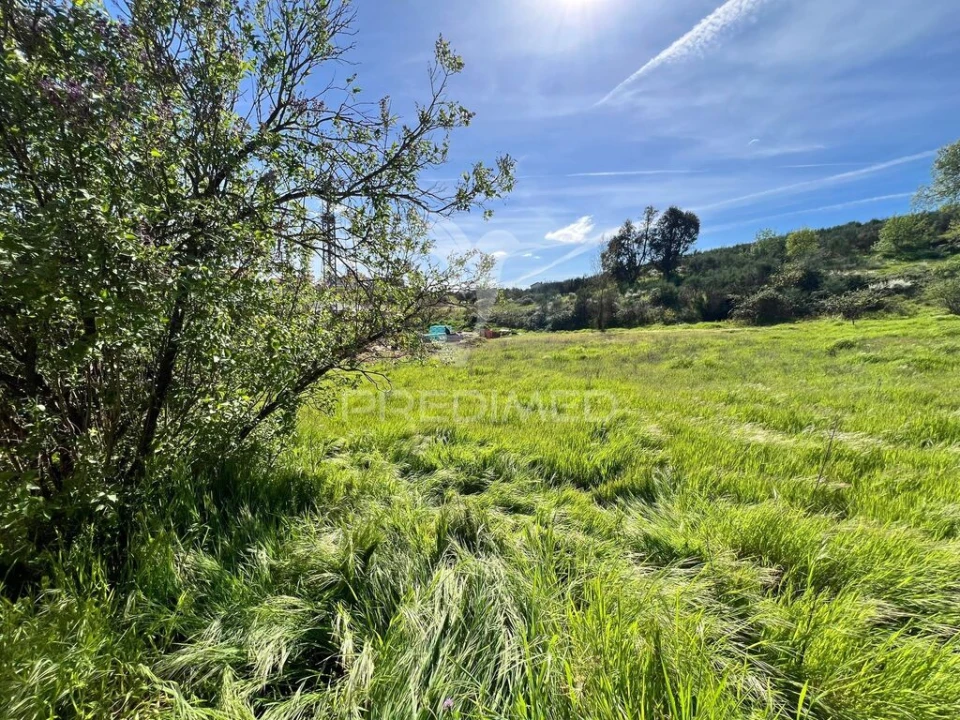 Terreno para Venda em Carvalhais Foto 3