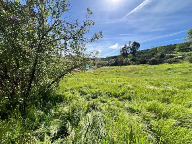 Terreno para Venda em Carvalhais Foto 3