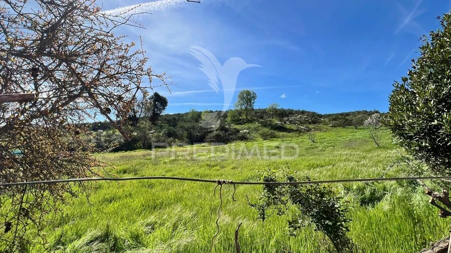 Terreno para Venda em Carvalhais