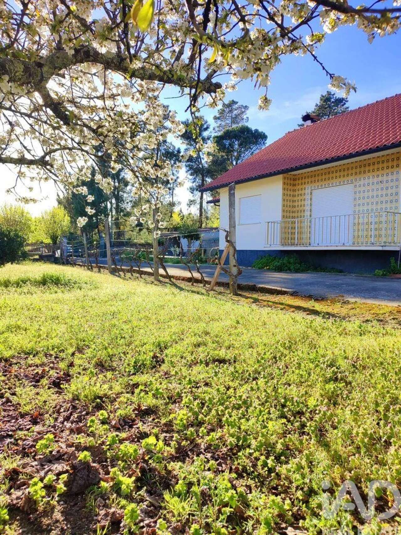 Moradia T2 para Venda em Mangualde, Mesquitela e Cunha Alta Foto 2