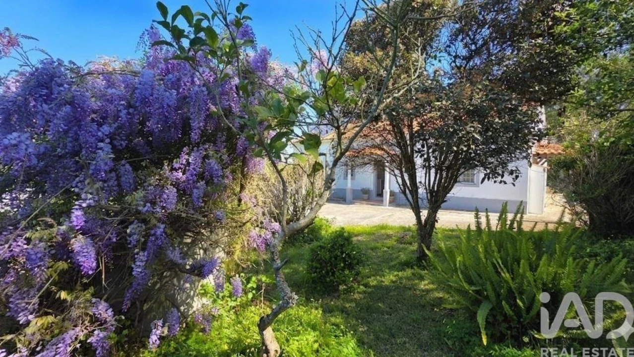 Moradia T6 para Venda em Usseira Foto 3