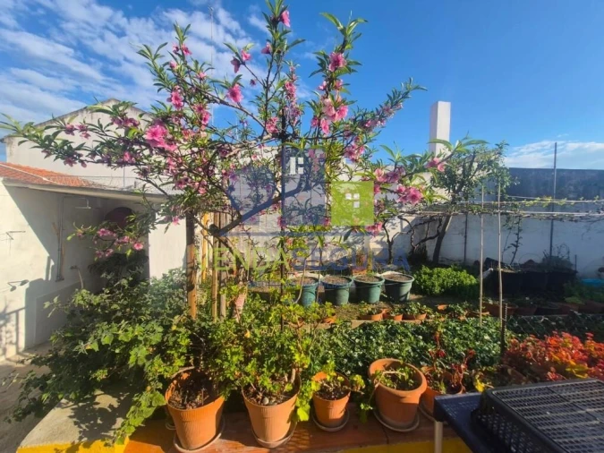 Moradia T3 para Venda em Pias Foto 32