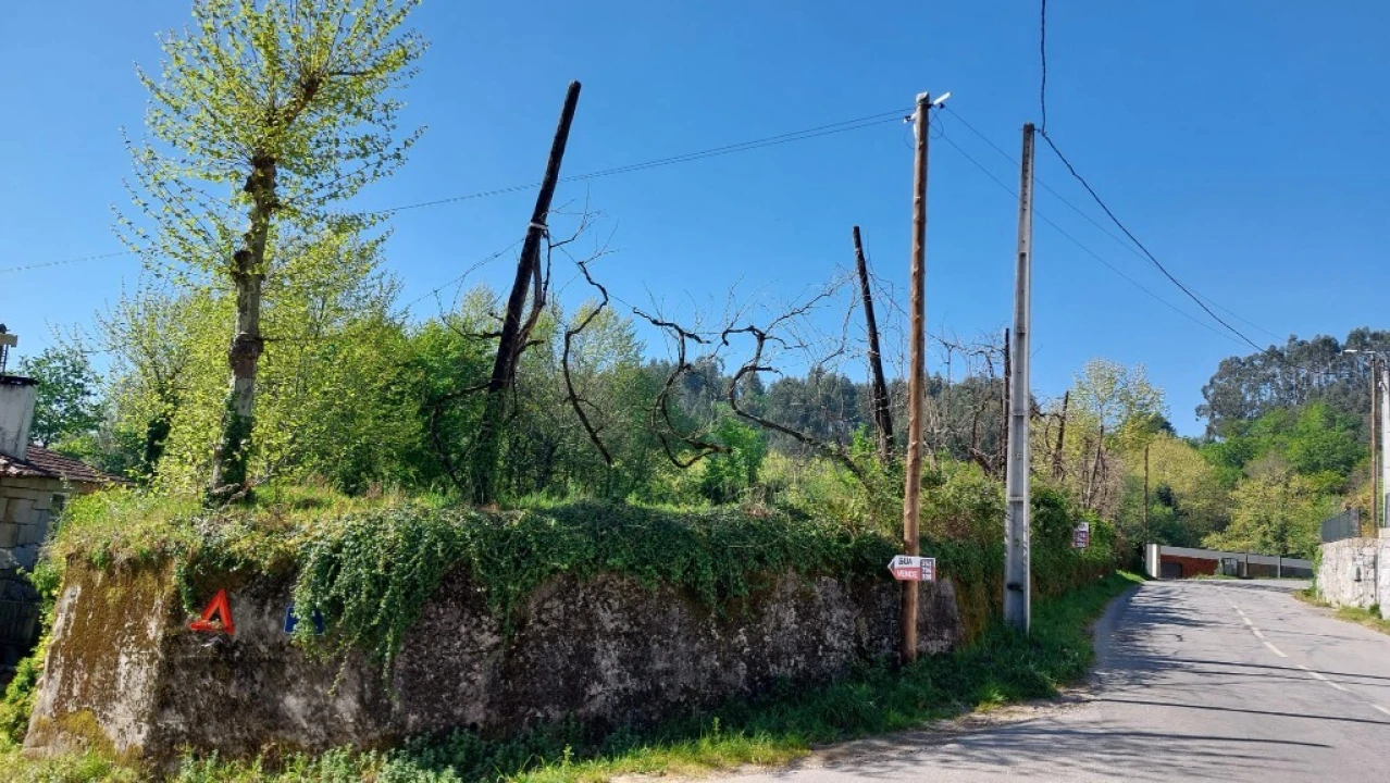 Terreno para Venda em Eira Vedra Foto 2