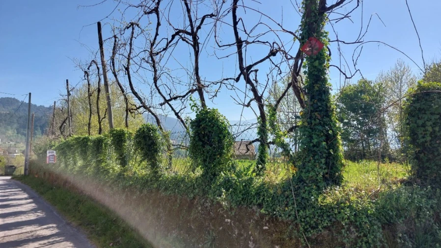 Terreno para Venda em Eira Vedra Foto 11