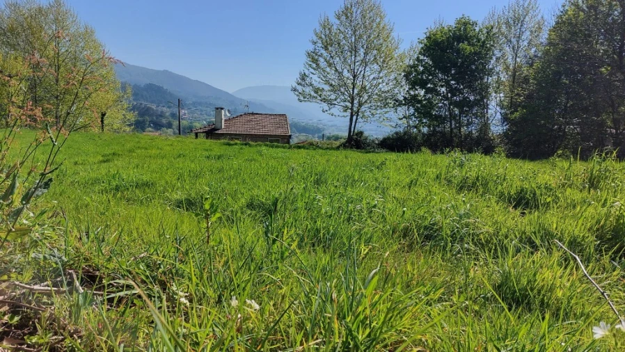 Terreno para Venda em Eira Vedra Foto 6