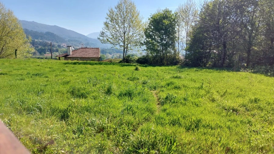Terreno para Venda em Eira Vedra