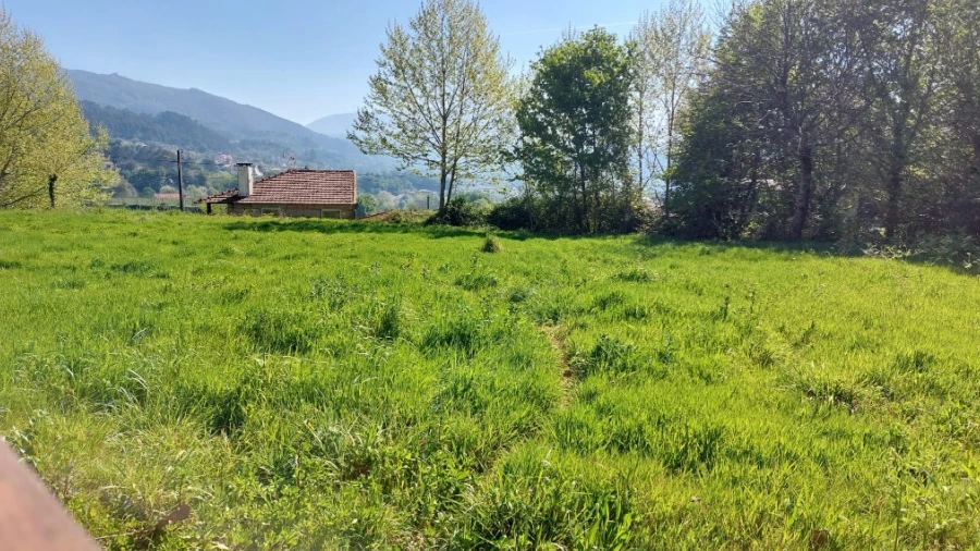 Terreno para Venda em Eira Vedra