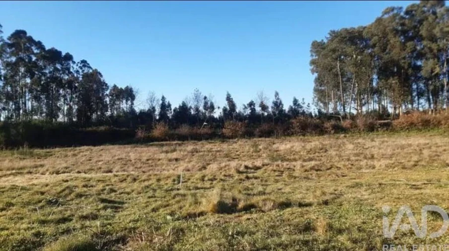 Terreno para Venda em Bustelo Foto 4