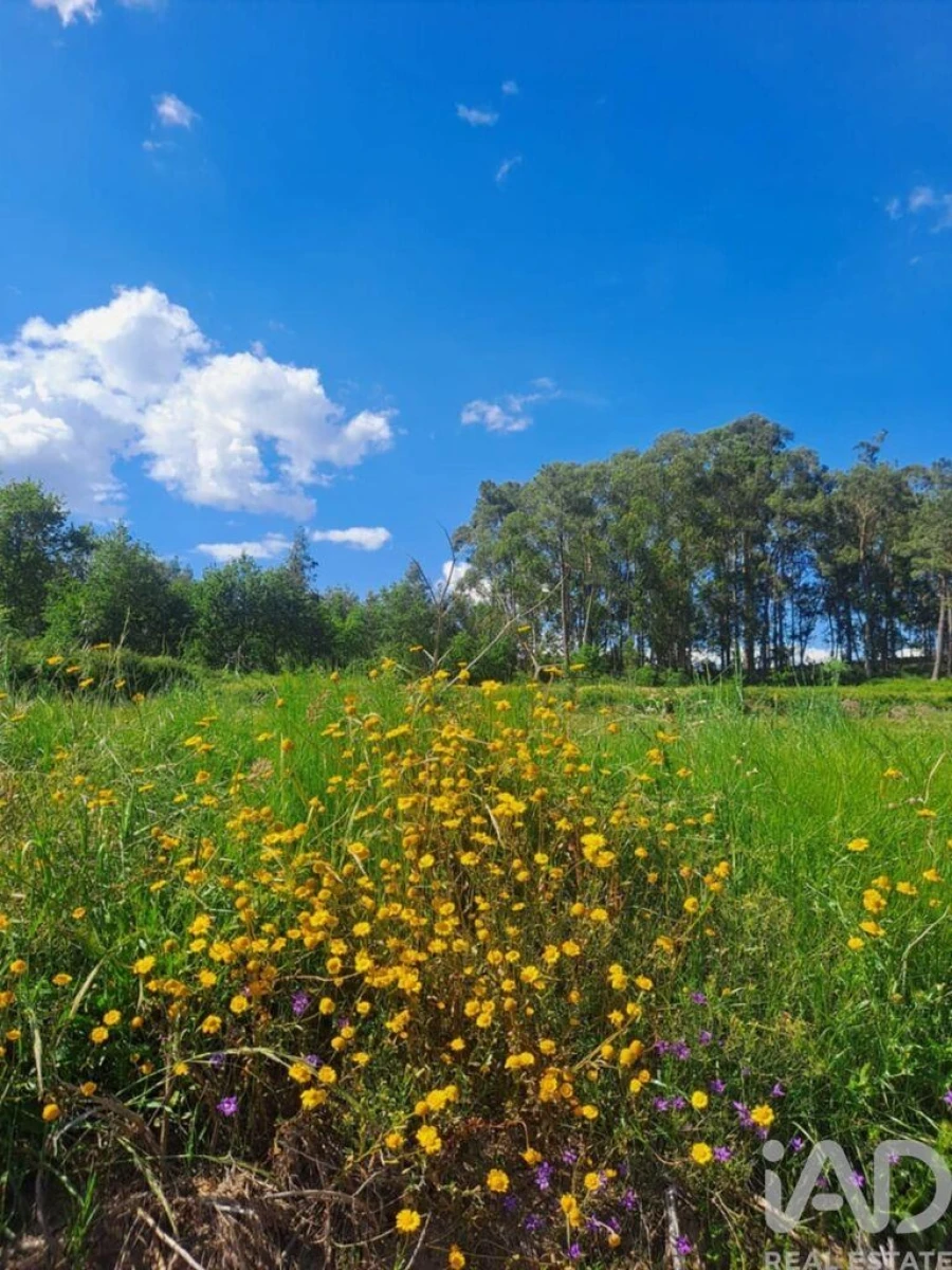 Terreno para Venda em Bustelo