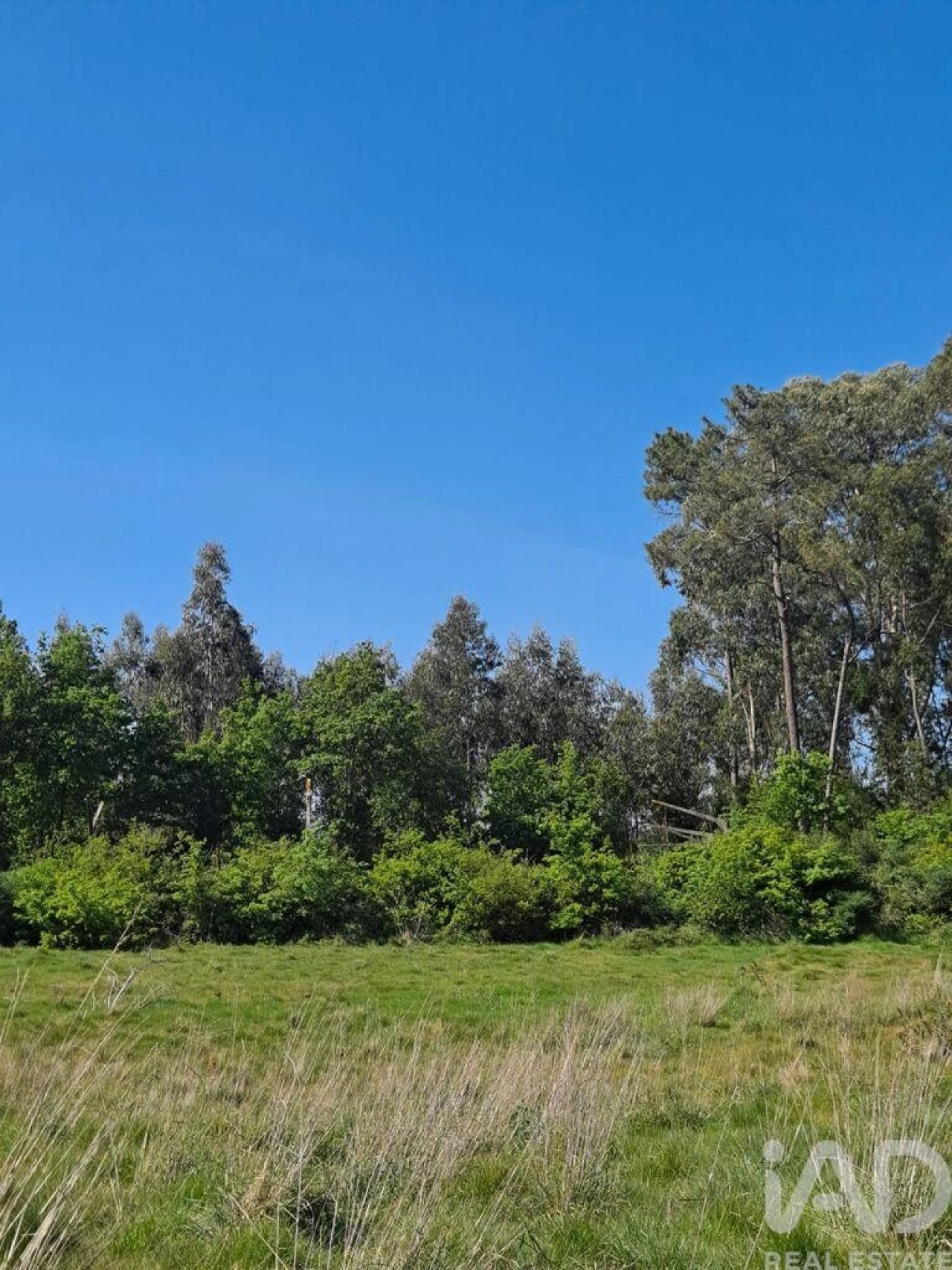 Terreno para Venda em Bustelo Foto 7