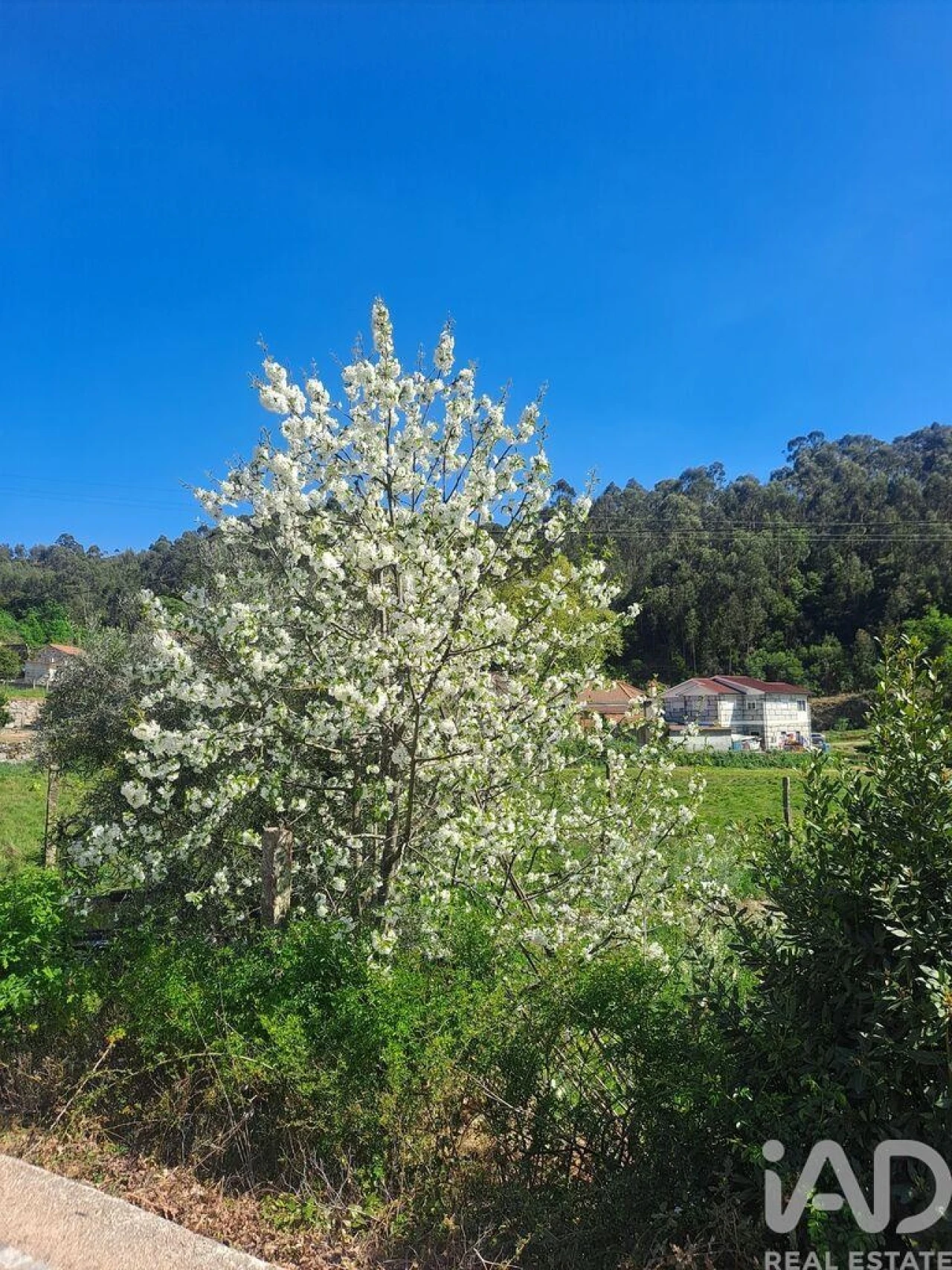 Terreno para Venda em Bustelo Foto 4