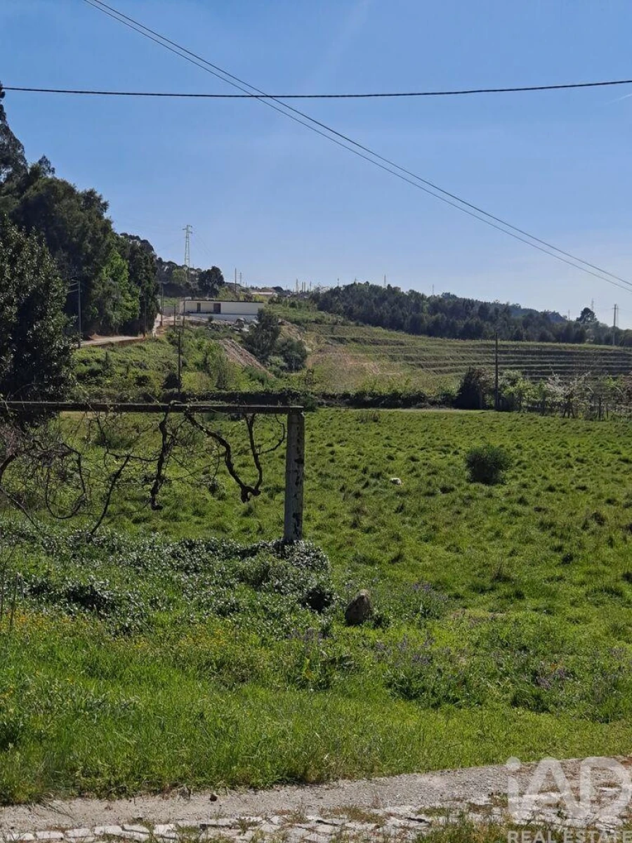 Terreno para Venda em Bustelo Foto 11