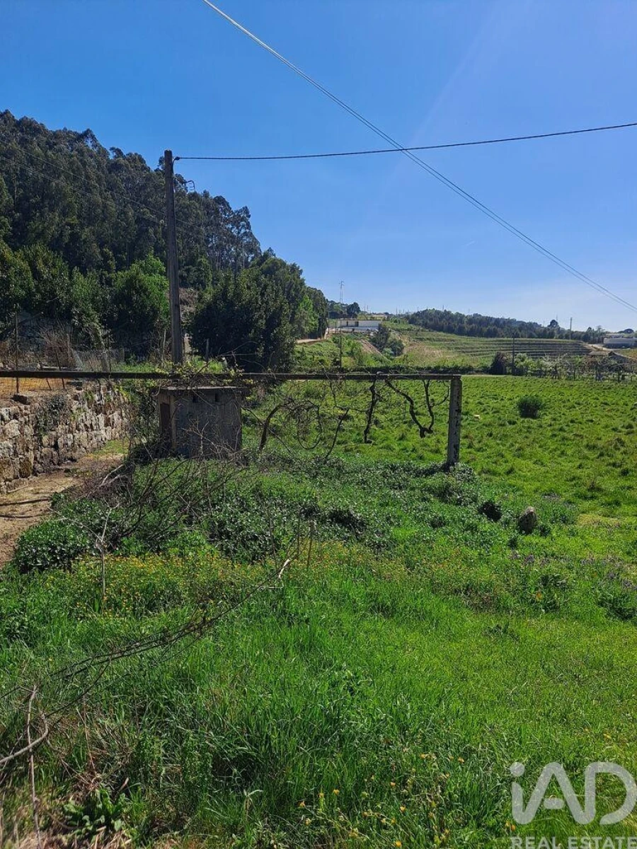 Terreno para Venda em Bustelo Foto 7