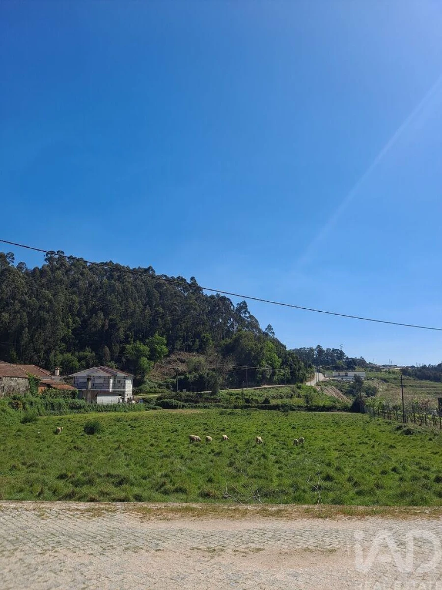 Terreno para Venda em Bustelo Foto 6