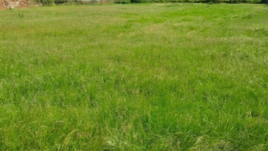 Terreno para Venda em Bustelo