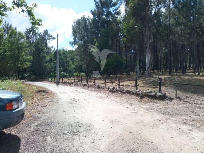 Terreno para Venda em Mangualde, Mesquitela e Cunha Alta Foto 1