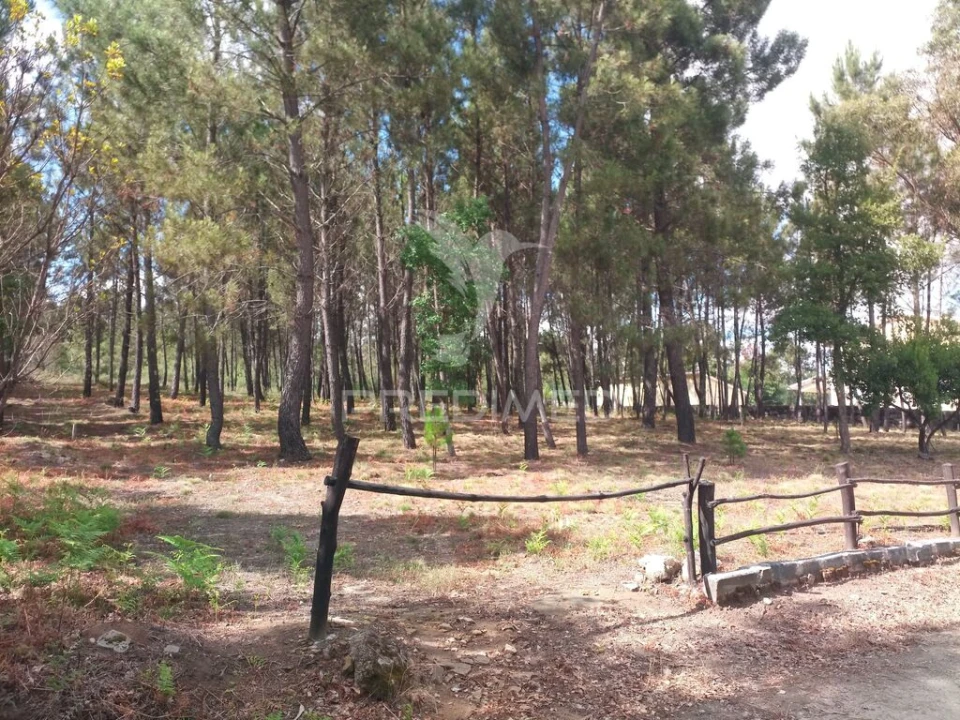 Terreno para Venda em Mangualde, Mesquitela e Cunha Alta Foto 2