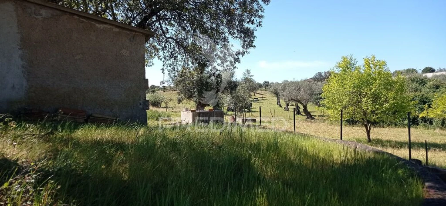 Quinta T3 para Venda em Monte da Pedra Foto 20