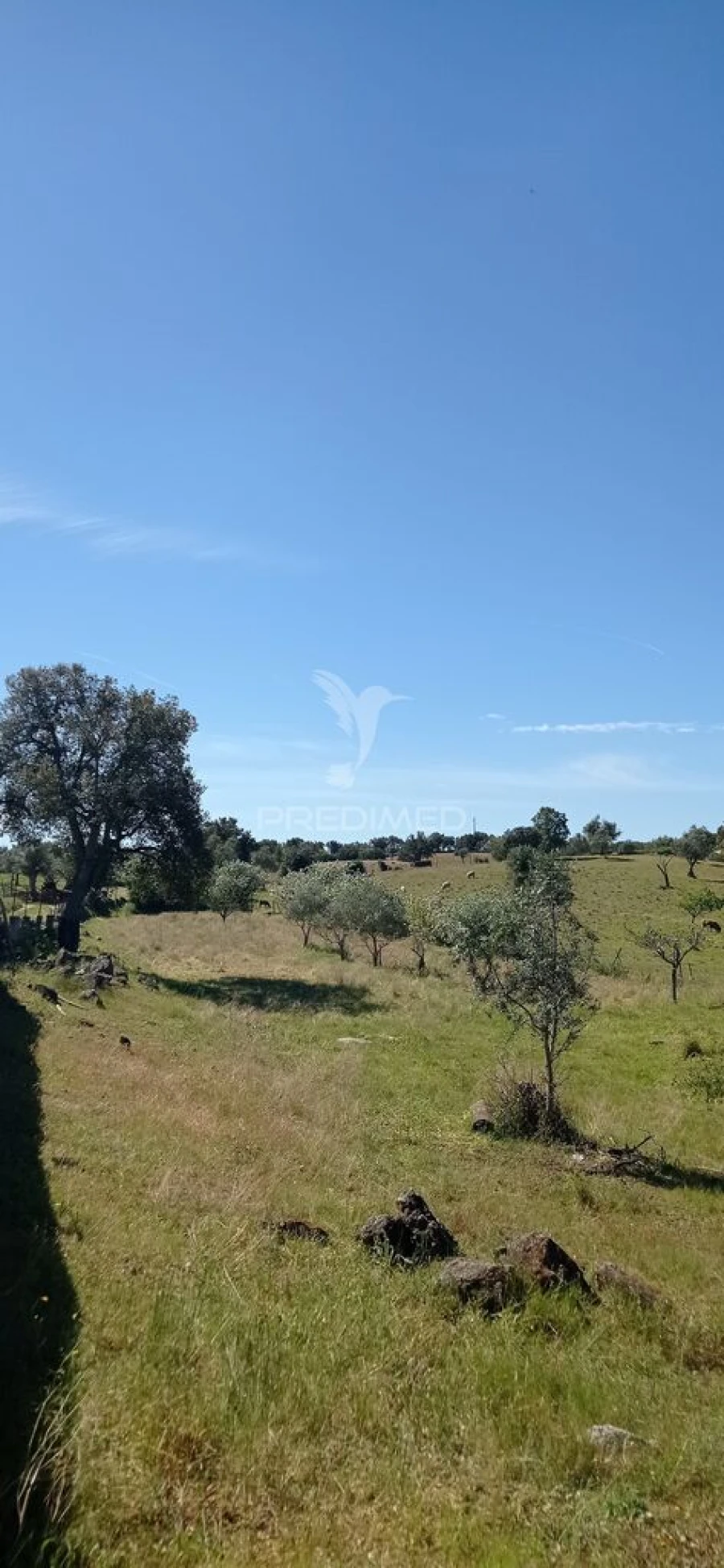 Quinta T3 para Venda em Monte da Pedra Foto 14