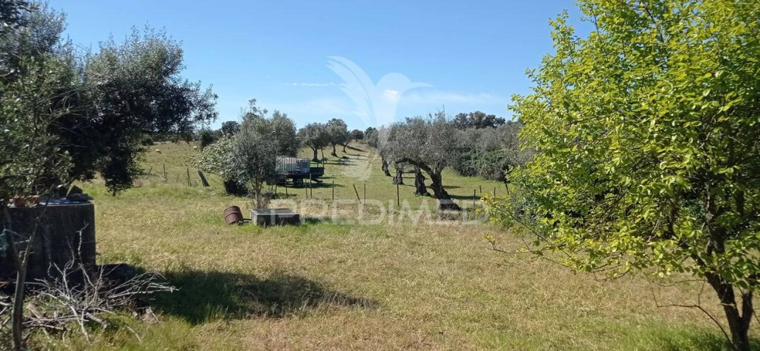 Quinta T3 para Venda em Monte da Pedra Foto 17