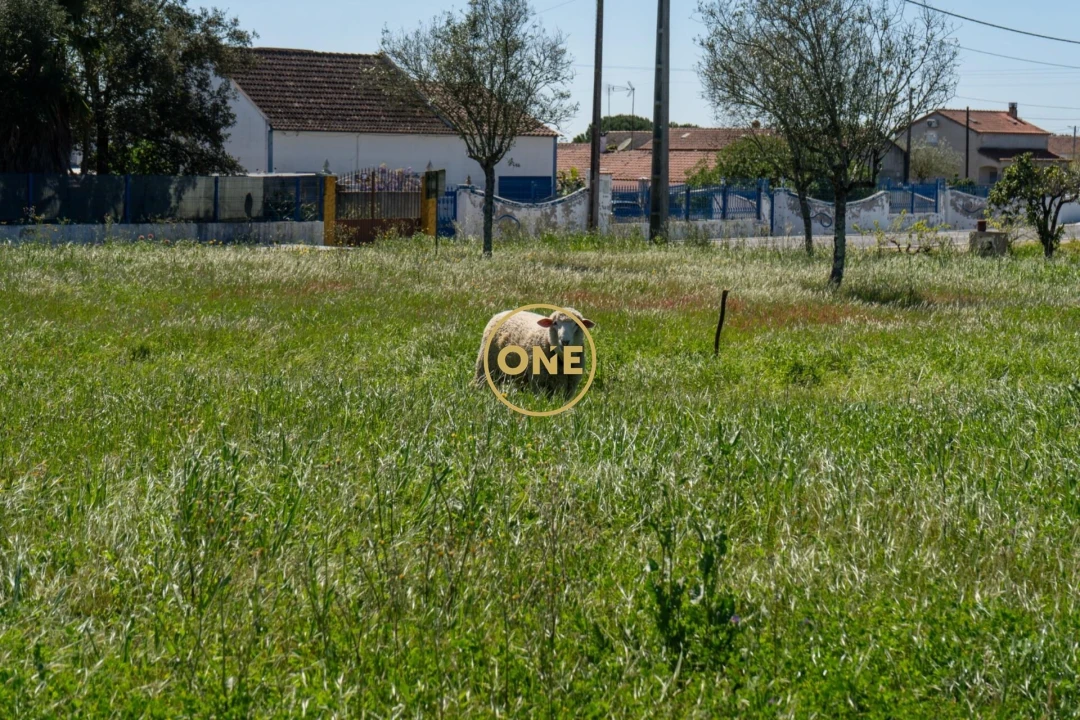 Terreno para Venda em Foros de Arrão Foto 15