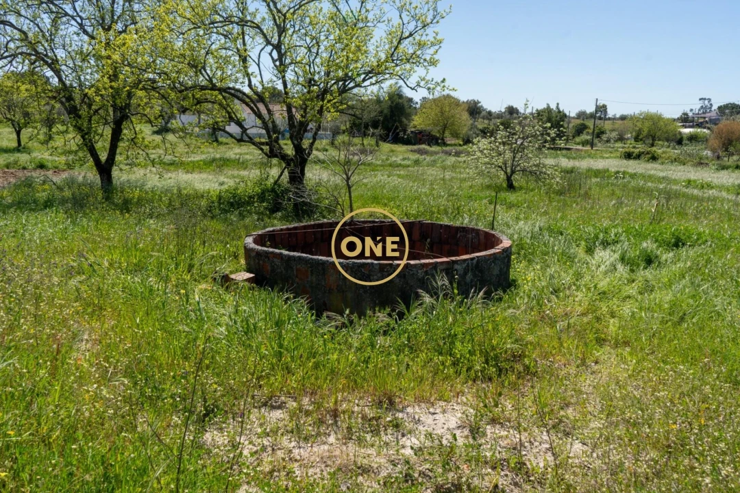 Terreno para Venda em Foros de Arrão Foto 5