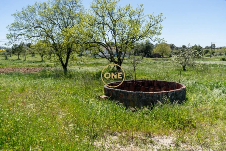 Terreno para Venda em Foros de Arrão Foto 6