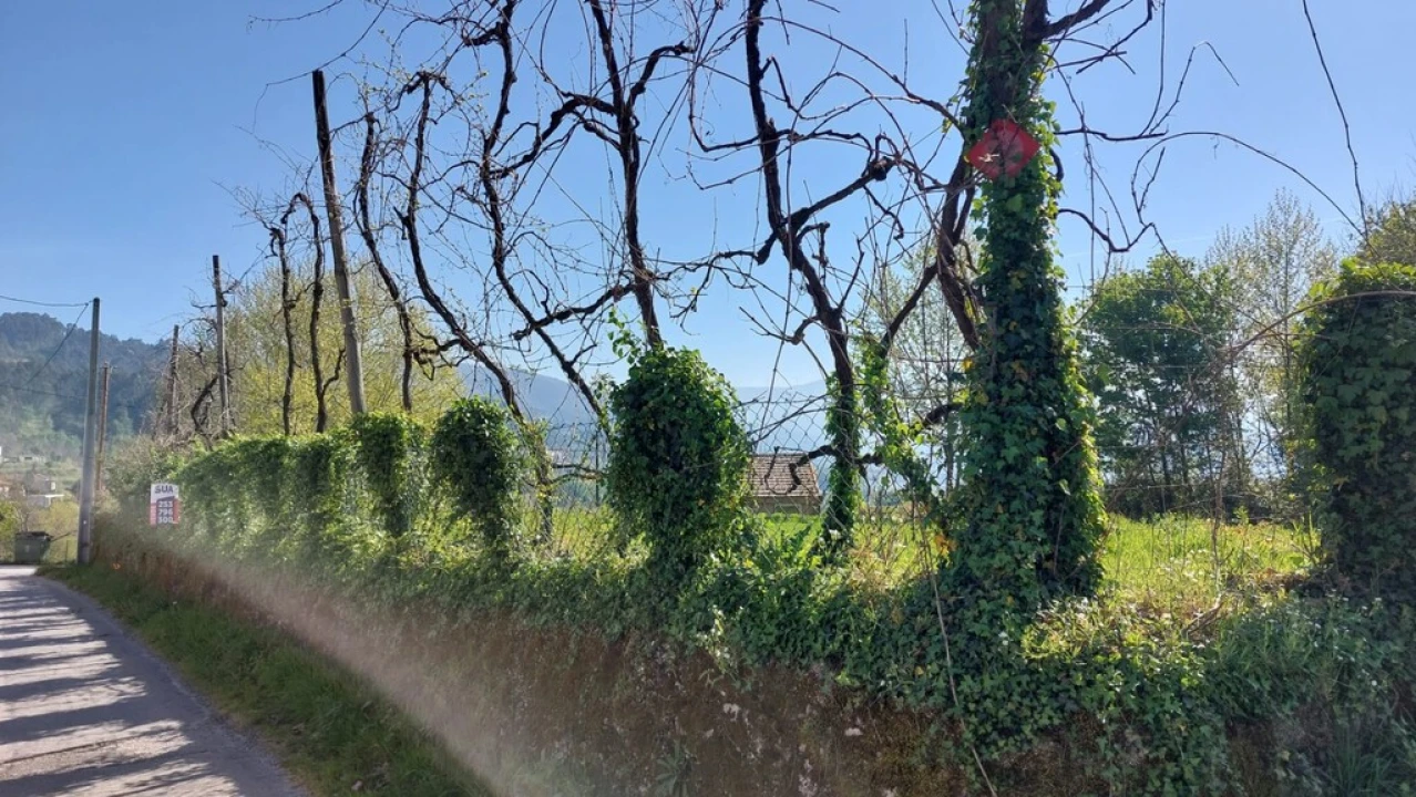 Moradia para Venda em Eira Vedra Foto 16