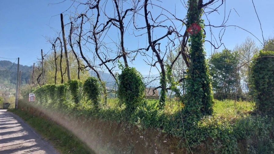 Moradia para Venda em Eira Vedra Foto 16