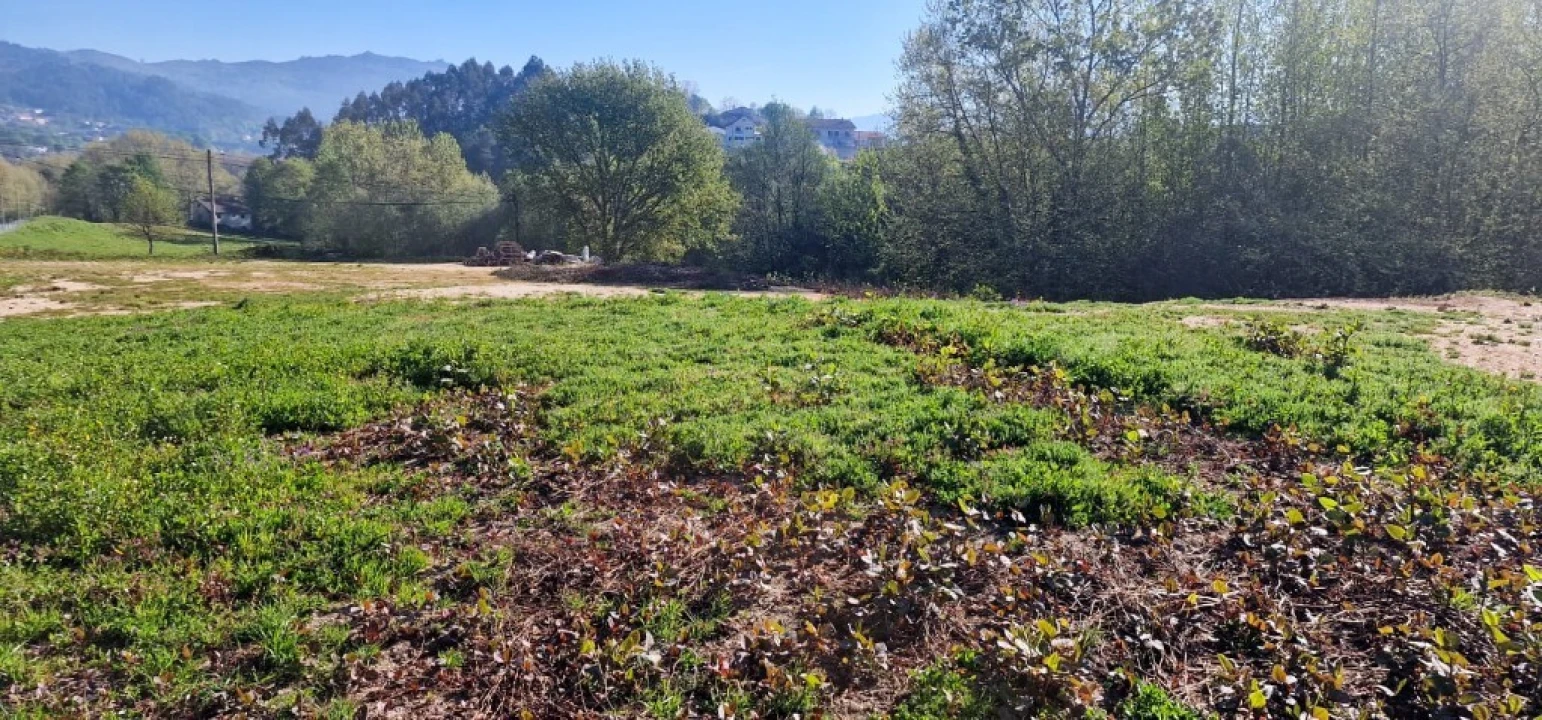 Terreno para Venda em Eira Vedra Foto 2