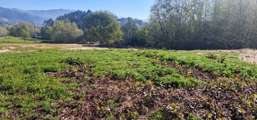 Terreno para Venda em Eira Vedra Foto 2