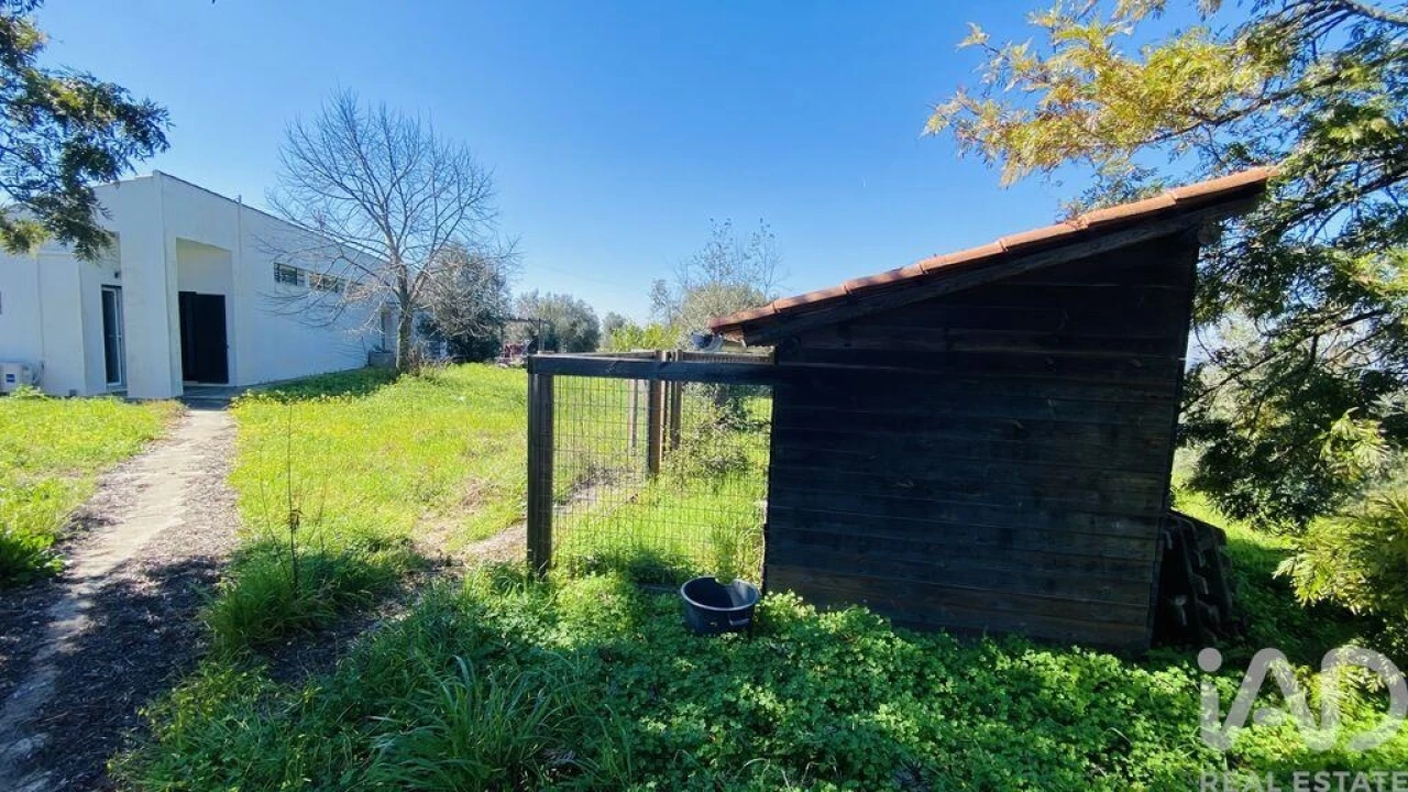 Quinta T3 para Venda em Galveias Foto 12