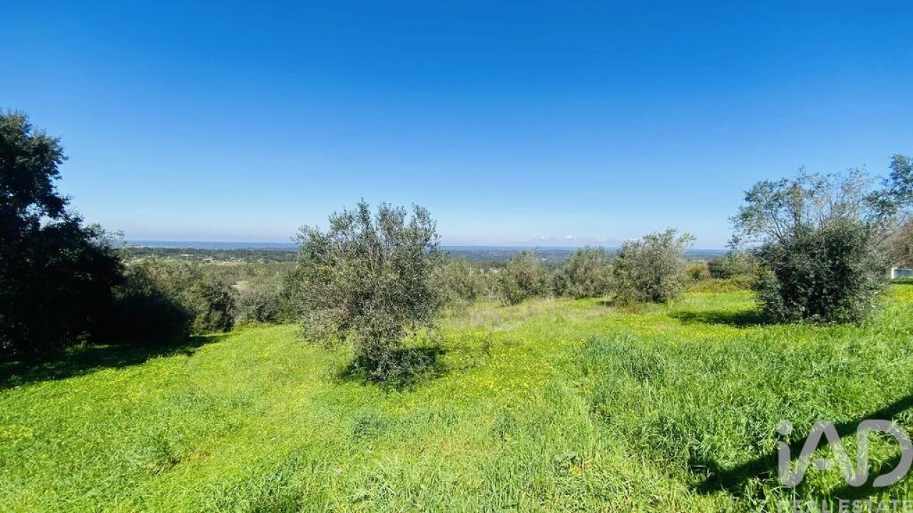 Quinta T3 para Venda em Galveias Foto 27