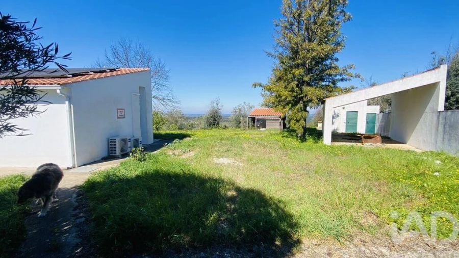 Quinta T3 para Venda em Galveias Foto 5