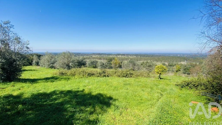 Quinta T3 para Venda em Galveias Foto 4