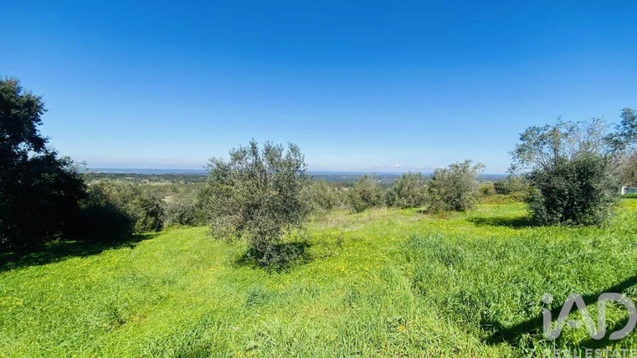 Quinta T3 para Venda em Galveias Foto 27