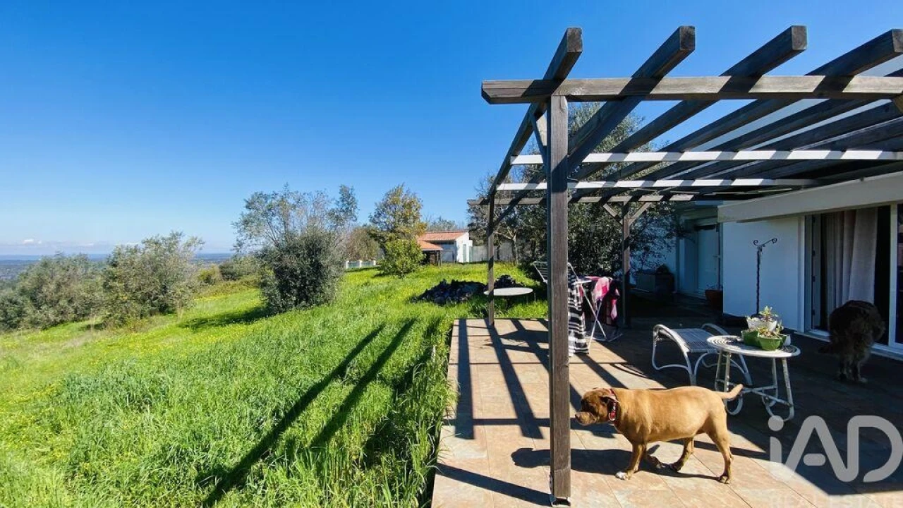 Quinta T3 para Venda em Galveias Foto 24