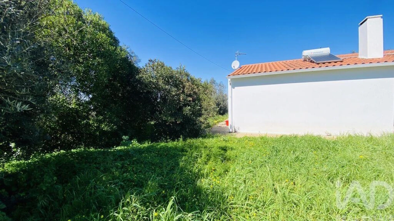 Quinta T3 para Venda em Galveias Foto 29