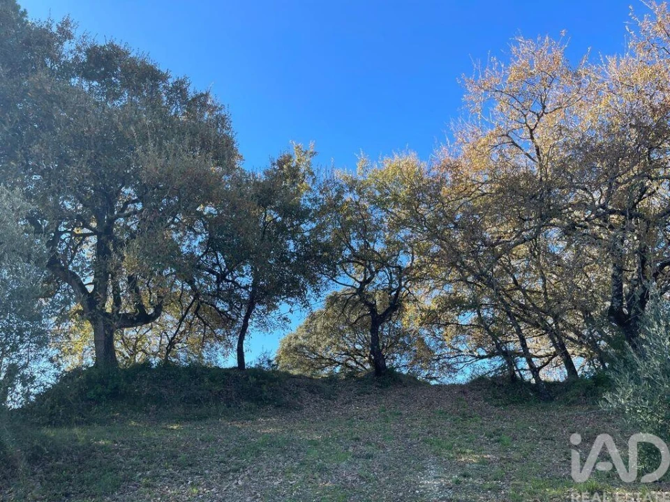 Terreno para Venda em Além da Ribeira e Pedreira Foto 4