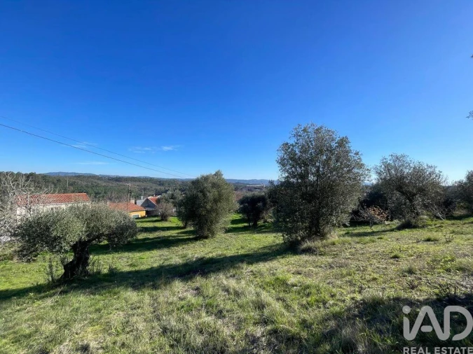 Terreno para Venda em Além da Ribeira e Pedreira Foto 7