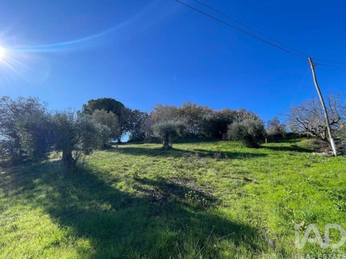 Terreno para Venda em Além da Ribeira e Pedreira Foto 1