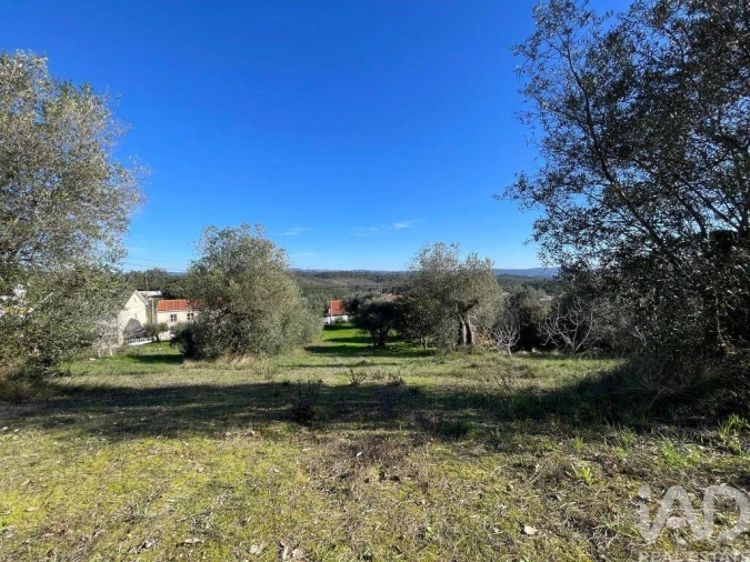 Terreno para Venda em Além da Ribeira e Pedreira Foto 6